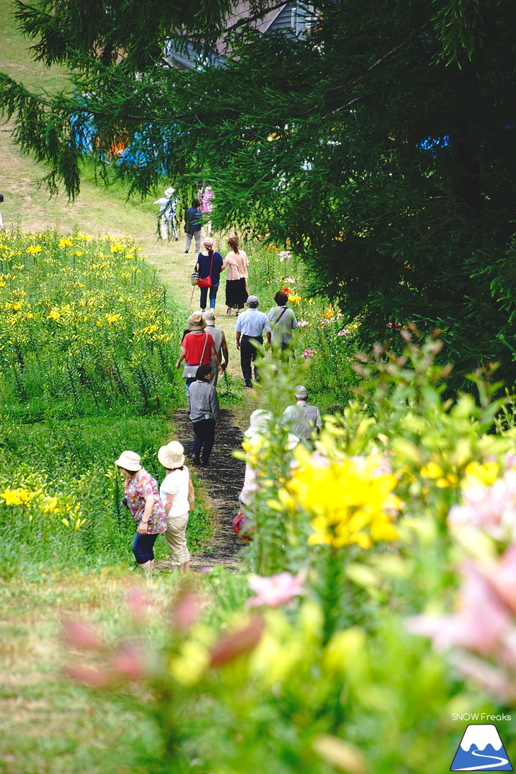 北海道最大級、213万輪のゆりの花！『オーンズ春香山ゆり園』